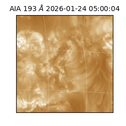 saia - 2026-01-24T05:00:04.843000