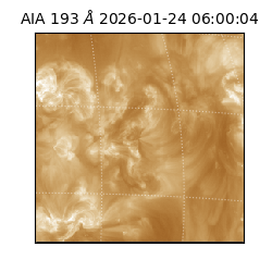 saia - 2026-01-24T06:00:04.835000