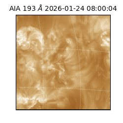 saia - 2026-01-24T08:00:04.843000