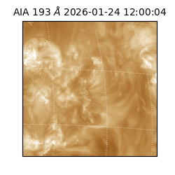 saia - 2026-01-24T12:00:04.843000