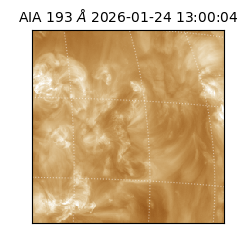 saia - 2026-01-24T13:00:04.843000