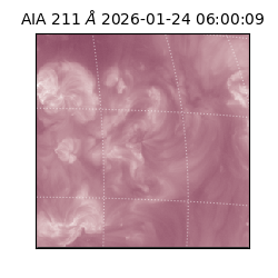 saia - 2026-01-24T06:00:09.618000