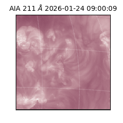 saia - 2026-01-24T09:00:09.630000