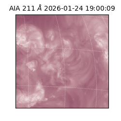 saia - 2026-01-24T19:00:09.634000