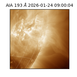 saia - 2026-01-24T09:00:04.844000