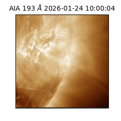 saia - 2026-01-24T10:00:04.843000