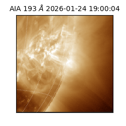 saia - 2026-01-24T19:00:04.843000