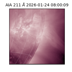 saia - 2026-01-24T08:00:09.633000