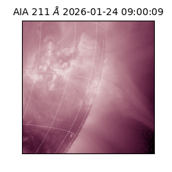 saia - 2026-01-24T09:00:09.630000