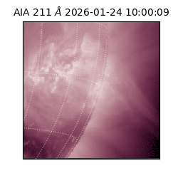 saia - 2026-01-24T10:00:09.626000