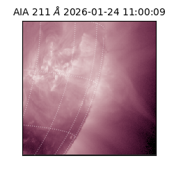 saia - 2026-01-24T11:00:09.626000