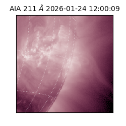 saia - 2026-01-24T12:00:09.630000