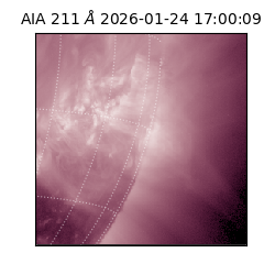 saia - 2026-01-24T17:00:09.632000