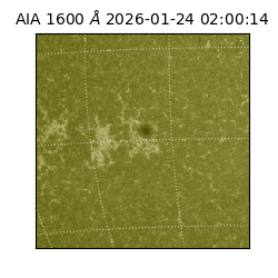 saia - 2026-01-24T02:00:14.125000