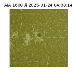 saia - 2026-01-24T04:00:14.126000
