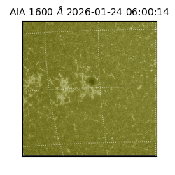 saia - 2026-01-24T06:00:14.124000