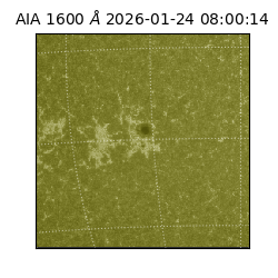 saia - 2026-01-24T08:00:14.126000