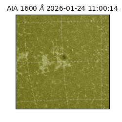 saia - 2026-01-24T11:00:14.125000