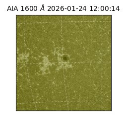 saia - 2026-01-24T12:00:14.126000