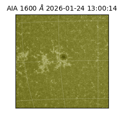 saia - 2026-01-24T13:00:14.125000