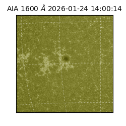 saia - 2026-01-24T14:00:14.126000