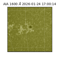 saia - 2026-01-24T17:00:14.125000