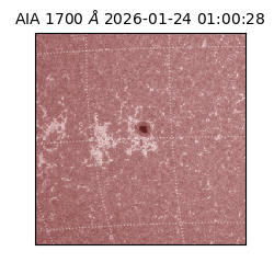 saia - 2026-01-24T01:00:28.718000