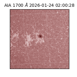 saia - 2026-01-24T02:00:28.718000