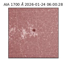 saia - 2026-01-24T06:00:28.719000