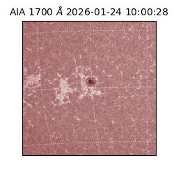 saia - 2026-01-24T10:00:28.742000