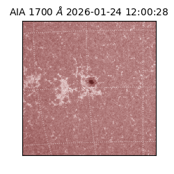 saia - 2026-01-24T12:00:28.717000