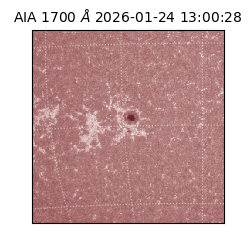 saia - 2026-01-24T13:00:28.717000