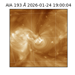 saia - 2026-01-24T19:00:04.843000