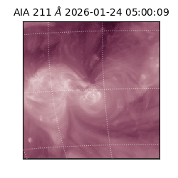 saia - 2026-01-24T05:00:09.623000