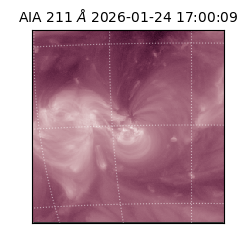 saia - 2026-01-24T17:00:09.632000