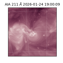 saia - 2026-01-24T19:00:09.634000