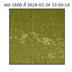 saia - 2026-01-24T13:00:14.125000