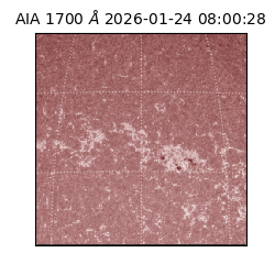 saia - 2026-01-24T08:00:28.718000