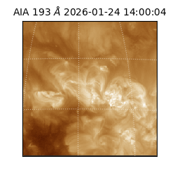 saia - 2026-01-24T14:00:04.843000