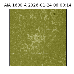 saia - 2026-01-24T06:00:14.124000