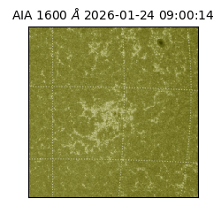 saia - 2026-01-24T09:00:14.132000