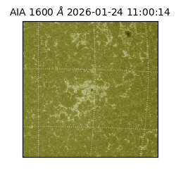 saia - 2026-01-24T11:00:14.125000