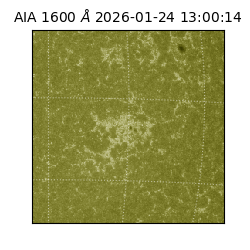 saia - 2026-01-24T13:00:14.125000