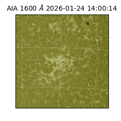 saia - 2026-01-24T14:00:14.126000