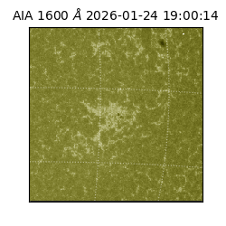 saia - 2026-01-24T19:00:14.126000