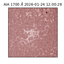 saia - 2026-01-24T12:00:28.717000