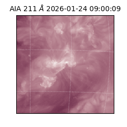 saia - 2026-01-24T09:00:09.630000