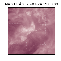 saia - 2026-01-24T19:00:09.634000
