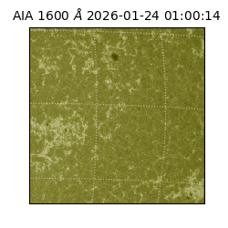 saia - 2026-01-24T01:00:14.125000