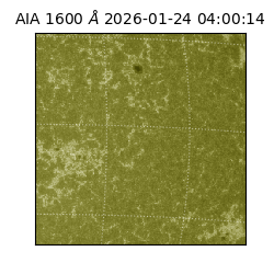 saia - 2026-01-24T04:00:14.126000